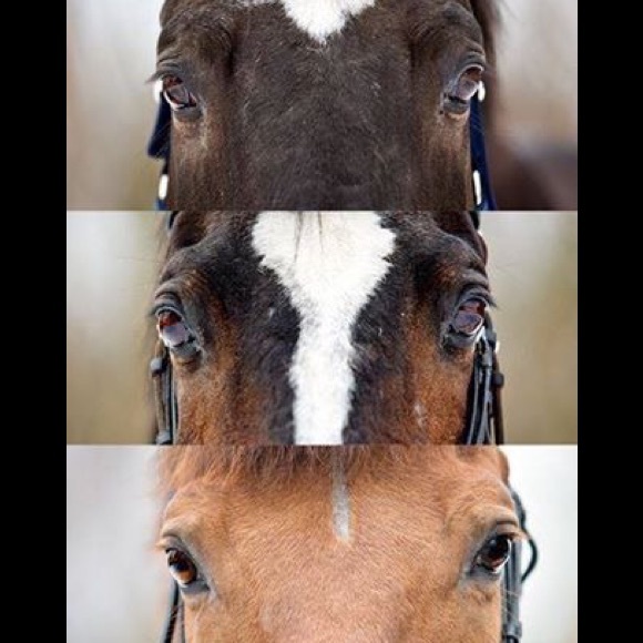 Profile Picture of Kiley Adams (@keek206) on Poshmark