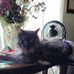 Profile Picture of Diane Fischer Robertson (Diane Fischer Robertson) (@diane.fischerrobertson) on Facebook