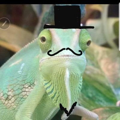 Profile Picture of Nicolas Zamora (@MrNicZam) on Twitter