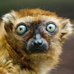 Profile Picture of Tory Bailey (@bailey_tory) on Instagram