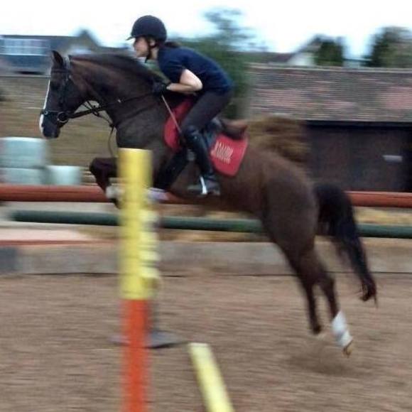 Annabelle Charlier - Poshmark Profile Picture of Annabelle Charlier (@a_charlier) on Poshmark