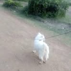 Profile Picture of Dorothy Rateng (@Dorothy-Rateng) on Facebook