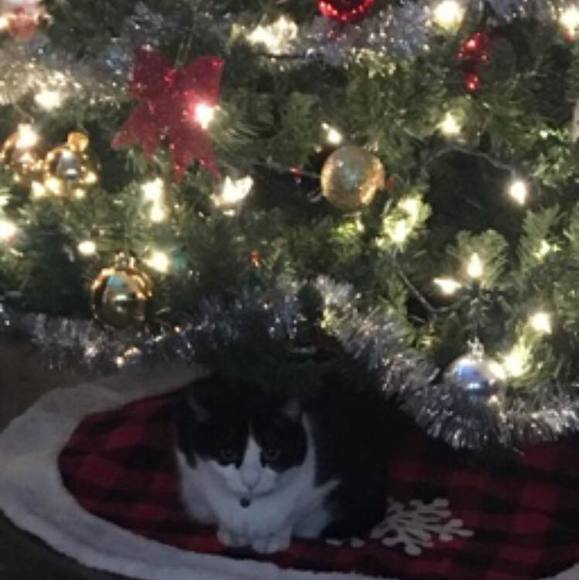 Profile Picture of Sue Ogozaly (@gotscie) on Poshmark