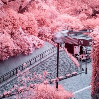 Profile Picture of Xiaoxia Gao (@xiaoxia.gao.98) on Facebook