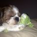 Profile Picture of Ann Marie Novoseller (@amanninosmith) on Pinterest