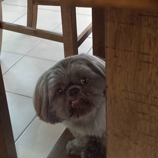 Profile Picture of Steven Guido (@Steven-Guido) on Facebook