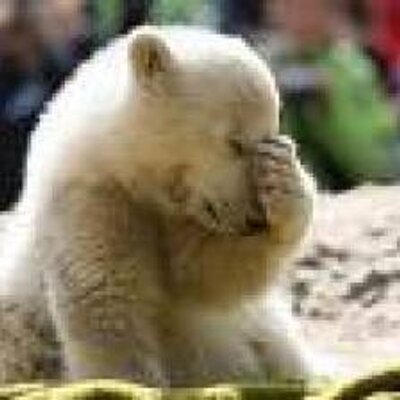 Profile Picture of Mike Perron (@MperronMike) on Twitter