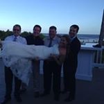 Profile Picture of Steve Cantwell (@steve.cantwell) on Instagram