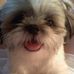Profile Picture of Abby Tidwell (@abby.tidwell.79) on Facebook