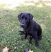 Profile Picture of Colin Mortimore (@colin.mortimore.1) on Facebook