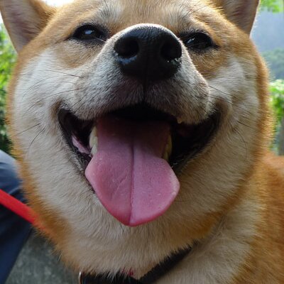 Profile Picture of Eddie Tsui (@twhao) on Twitter