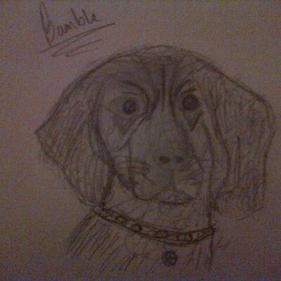 Profile Picture of Luke Regan (@Lukeregan99Luke) on Twitter