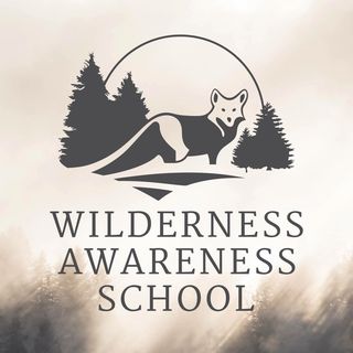 Profile Picture of Wilderness Awareness School (@wilderness_awareness) on Instagram