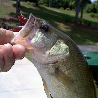 Profile Picture of Eric Kirkman (@ericdkirkman) on Twitter