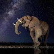 Profile Picture of Peter Mansur (@petermansur4362) on Youtube