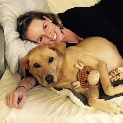 Profile Picture of Danielle Archambault (@tailsofadogmom) on Twitter