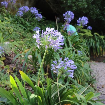 Profile Picture of Tim Pinto (@timpinto9) on Twitter