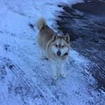 Profile Picture of Lucas Winters (@lucas.winters.33) on Instagram