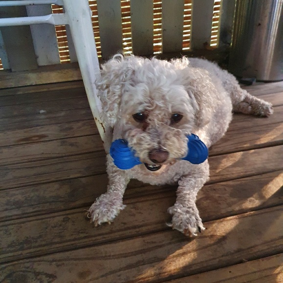 Profile Picture of Sandra Kempthorne (@sanga875) on Poshmark