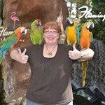 Profile Picture of Jo-Anne Walker (@joanne.walker) on Instagram