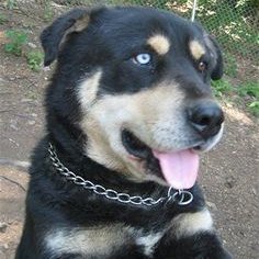 Profile Picture of Dustin Cottingham (@Dustincottingh1) on Twitter