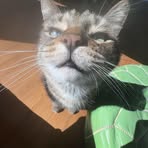 Profile Picture of Vivien Terrell (@vivien.terrell.3) on Facebook