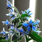 Profile Picture of Nancy Quigg (@quiggnancy) on Instagram