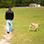 Profile Picture of ryan l bowen (@ryan l bowen) on Flickr