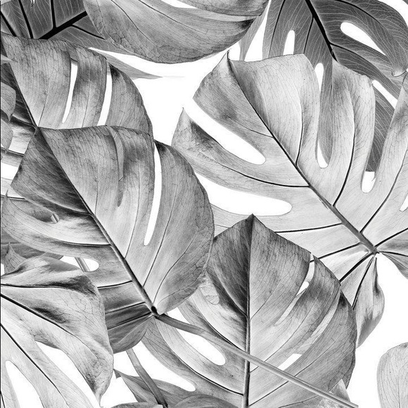 Profile Picture of Shira Gellert (@shira_gellert) on Poshmark