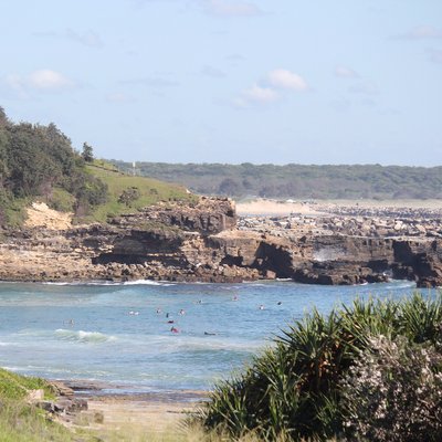 Profile Picture of Tom Copley (@TomCopley95) on Twitter