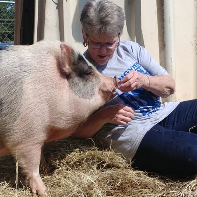 Profile Picture of Robin Hiles (@RobinHiles1) on Twitter