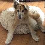 Profile Picture of Robin Hulan-Redman (@robinhulanredman) on Instagram