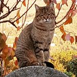 Profile Picture of rosatongiani962@libero. iy (@rosatongiani962li) on Instagram