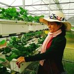 Profile Picture of Ngô Rải (@ken.trinh.3551380) on Instagram