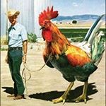 Profile Picture of Darren Moran (@darren.moran.52012) on Instagram