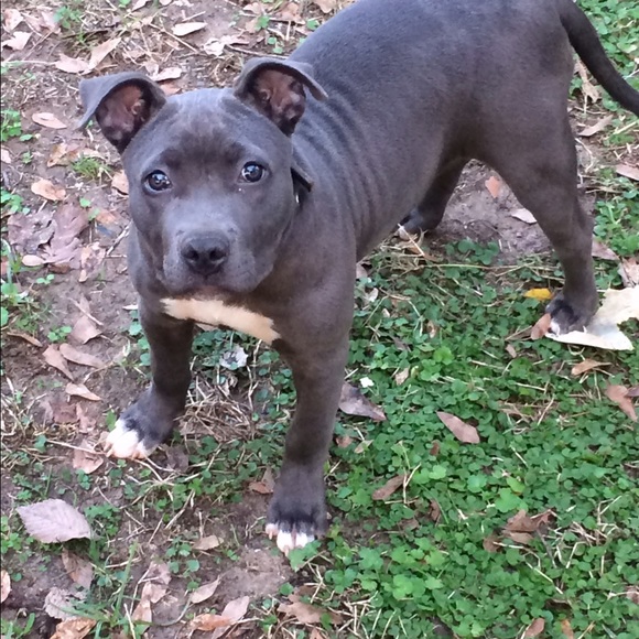 Hughes Nick - Poshmark Profile Picture of Hughes Nick (@hughes74) on Poshmark