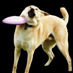 Profile Picture of Nathaniel Cline (@mr.natethegreat) on Instagram