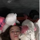 Profile Picture of   Elizabeth Brann... (@__.lizzy_life.__) on Tiktok