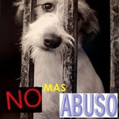 Profile Picture of David (@DavidToral) on Twitter