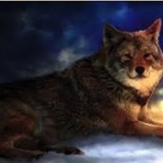 Profile Picture of Damien McMahon (@DamienMcMahon6) on Twitter