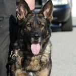 Profile Picture of Erik Troelsen (@eriksentroel) on Instagram