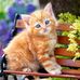 Profile Picture of Bozena Kot (@bozena.kot.3705) on Facebook