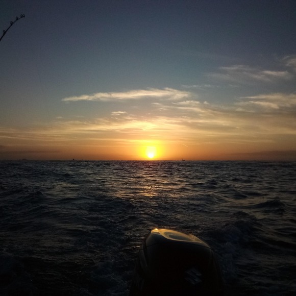 Donald Thompson - Poshmark Profile Picture of Donald Thompson (@donaldthomps739) on Poshmark