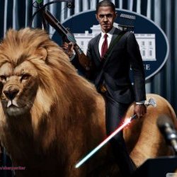 Profile Picture of Gretchen Phıllıps (@PsGretchen) on Twitter