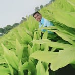 Profile Picture of Vilas Sabale (@Vilas-Sabale) on Facebook