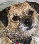 Profile Picture of Big Dog 91 (@Big Dog 91) on Flickr