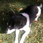 Profile Picture of Laura Genesin (@ralphstagram_1) on Instagram