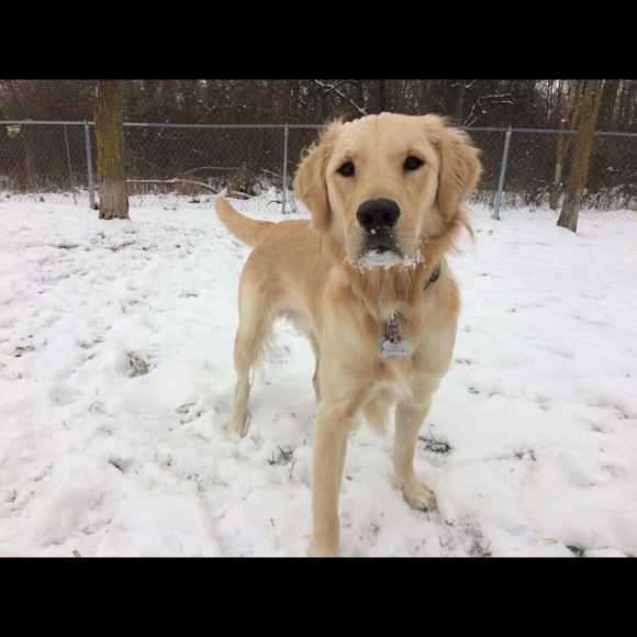 Profile Picture of Danielle Pell (@dpell12) on Poshmark