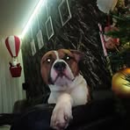 Profile Picture of Cailynn Holtkamp (@Cailynn-Holtkamp) on Facebook