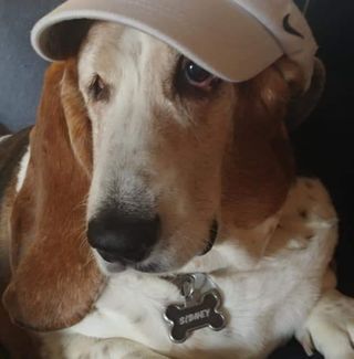 Profile Picture of James SInsel (@james.sinsel) on Facebook